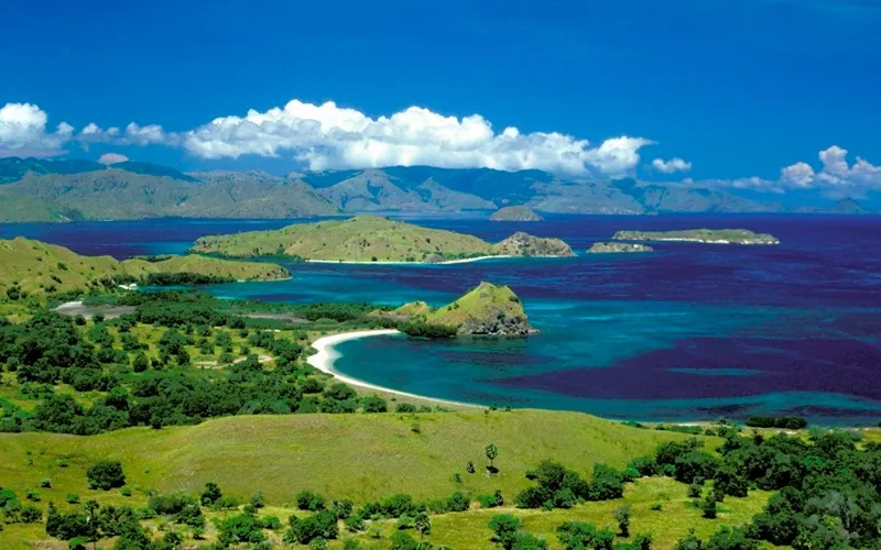 Menyusuri Keindahan Alam dan Budaya Kabupaten Alor, Nusa Tenggara Timur