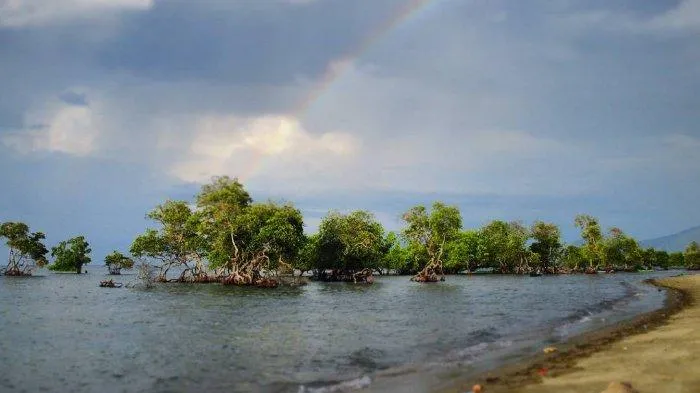 Pantai Atapupu Jadi Ikon Pariwisata Kabupaten Belu
