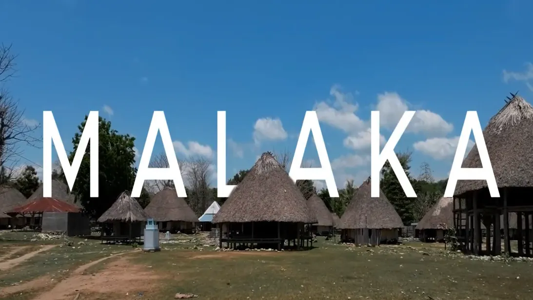 Batar Manaik, Tradisi Adat Pemersatu Masyarakat Malaka